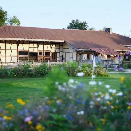 Domaine Des Brouilles Bed & Breakfast Malafretaz Екстериор снимка